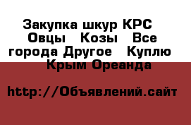 Закупка шкур КРС , Овцы , Козы - Все города Другое » Куплю   . Крым,Ореанда